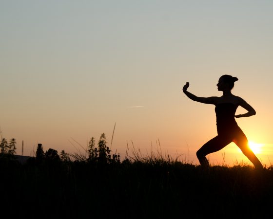 Nouveau : cours de Tai Chi